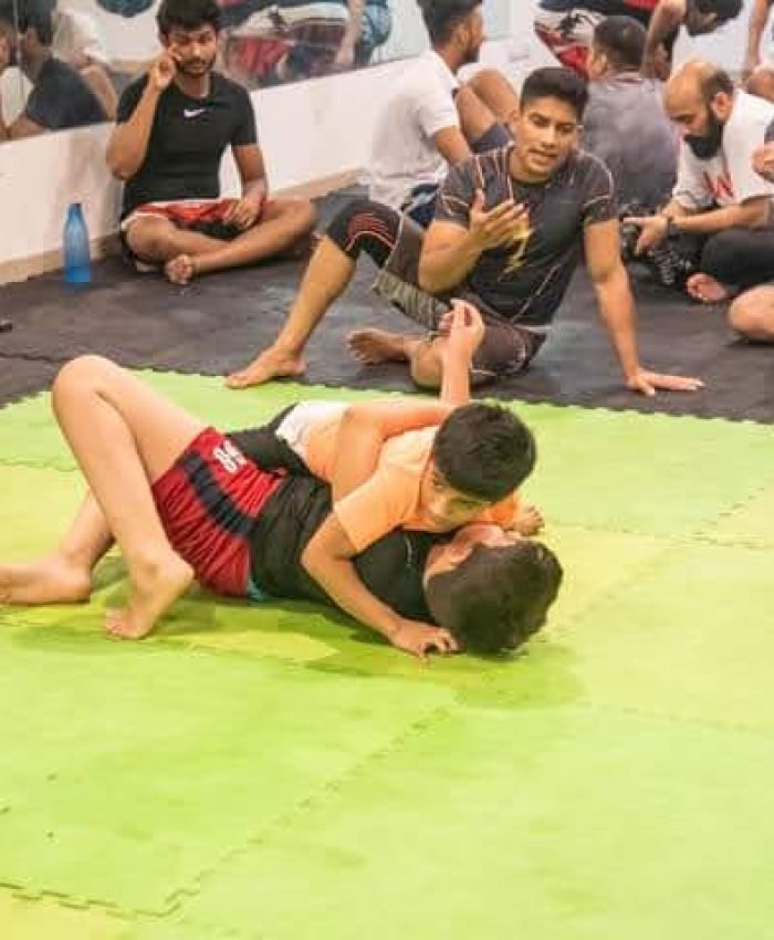 Mix Martial arts classes in Delhi