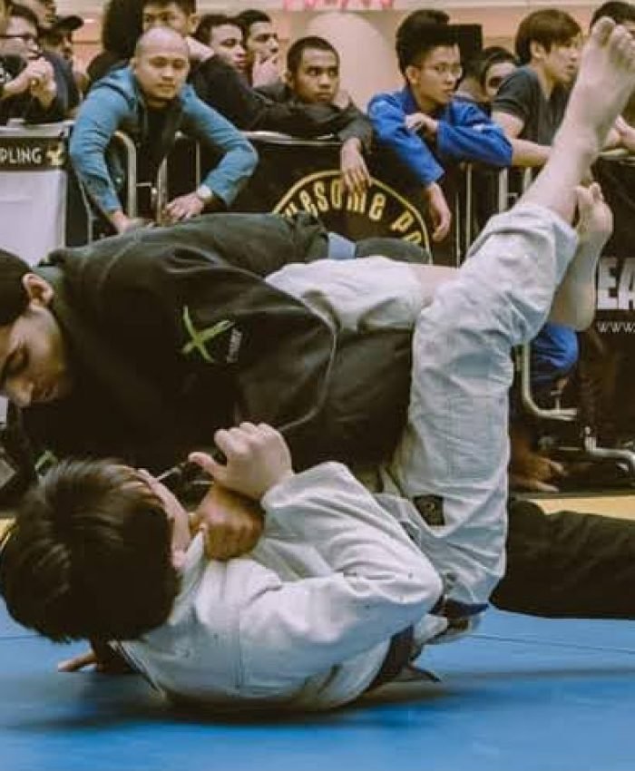 What is Jiu Jitsu
